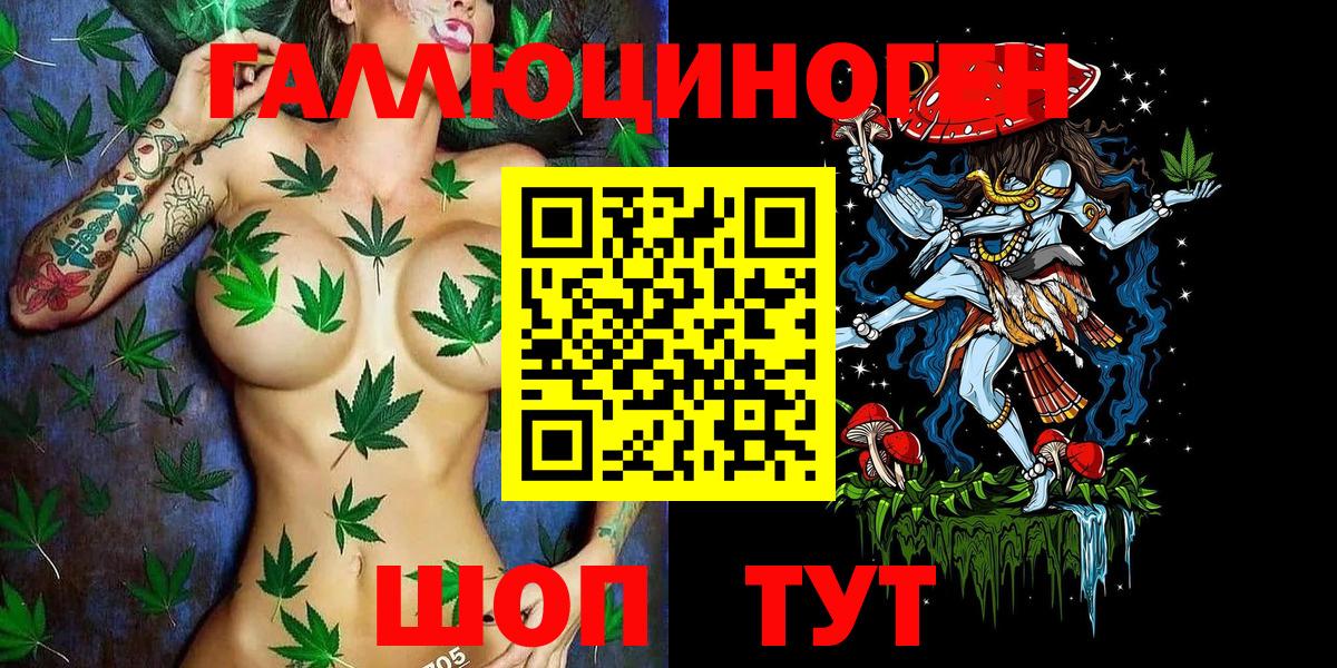 Псилоцибиновые грибы Cubensis  Вход с VPN  Томск 