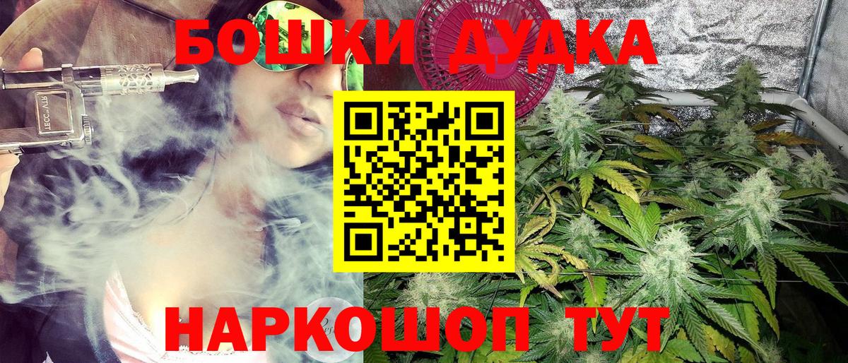 Бошки Шишки MAZAR Томск